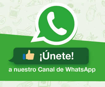 Canal Whatsapp Condis